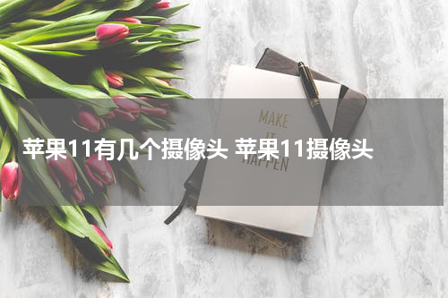苹果11有几个摄像头 苹果11摄像头