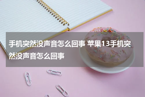 手机突然没声音怎么回事 苹果13手机突然没声音怎么回事