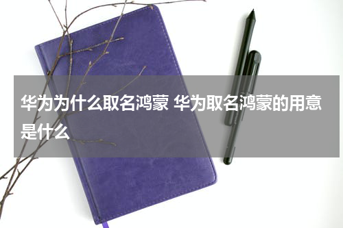 华为为什么取名鸿蒙 华为取名鸿蒙的用意是什么