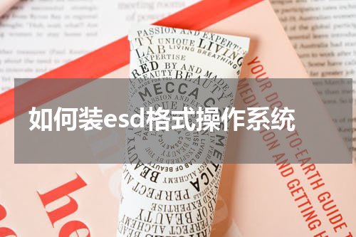 如何装esd格式操作系统