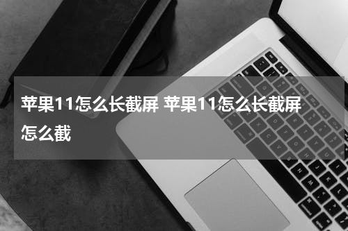 苹果11怎么长截屏 苹果11怎么长截屏怎么截