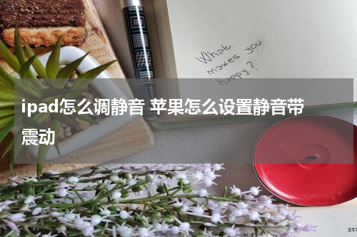 ipad怎么调静音 苹果怎么设置静音带震动