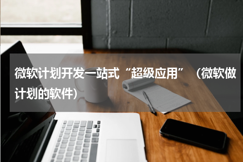 微软计划开发一站式“超级应用”（微软做计划的软件）