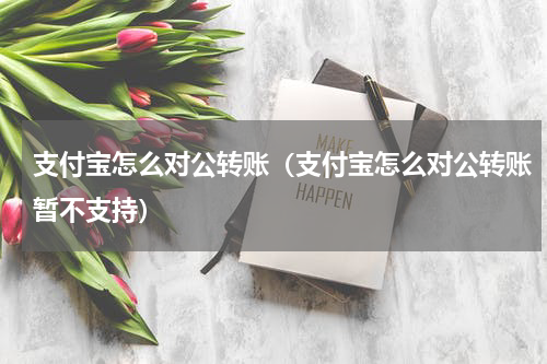 支付宝怎么对公转账（支付宝怎么对公转账暂不支持）