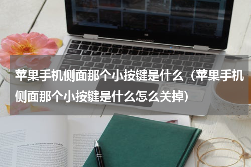 苹果手机侧面那个小按键是什么（苹果手机侧面那个小按键是什么怎么关掉）