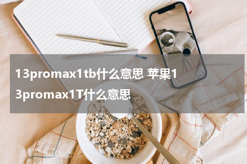 13promax1tb什么意思 苹果13promax1T什么意思