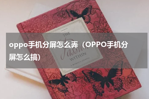 oppo手机分屏怎么弄（OPPO手机分屏怎么搞）