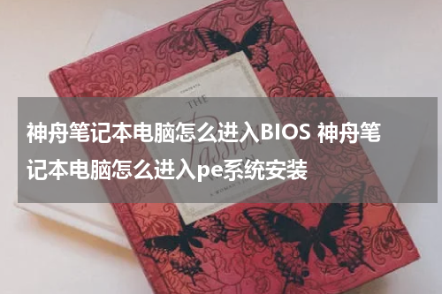 神舟笔记本电脑怎么进入BIOS 神舟笔记本电脑怎么进入pe系统安装