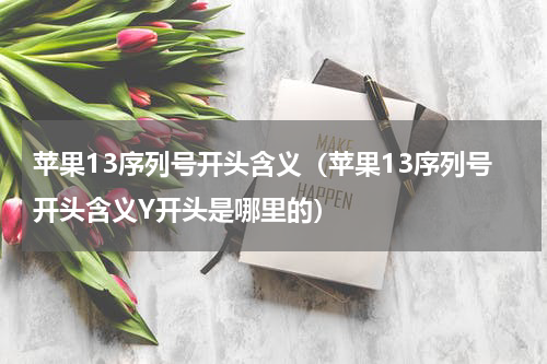苹果13序列号开头含义（苹果13序列号开头含义Y开头是哪里的）