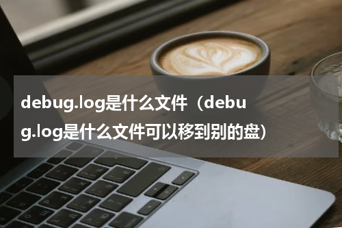 debug.log是什么文件（debug.log是什么文件可以移到别的盘）