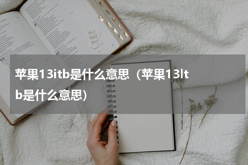 苹果13itb是什么意思（苹果13ltb是什么意思）