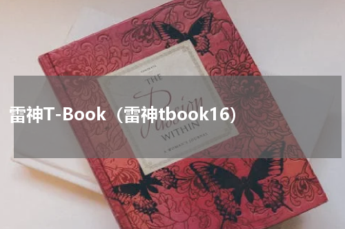 雷神T-Book（雷神tbook16）