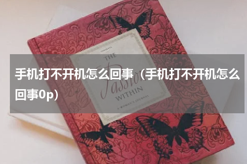 手机打不开机怎么回事（手机打不开机怎么回事0p）