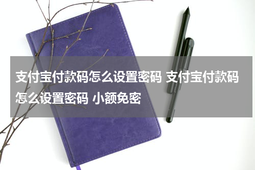 支付宝付款码怎么设置密码 支付宝付款码怎么设置密码 小额免密