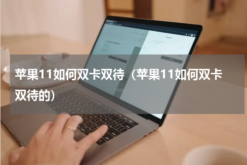 苹果11如何双卡双待（苹果11如何双卡双待的）
