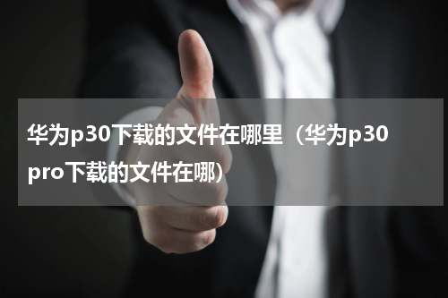 华为p30下载的文件在哪里（华为p30pro下载的文件在哪）