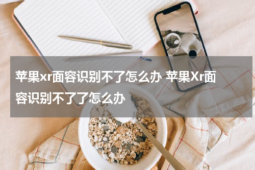 苹果xr面容识别不了怎么办 苹果Xr面容识别不了了怎么办