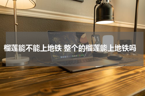 榴莲能不能上地铁 整个的榴莲能上地铁吗