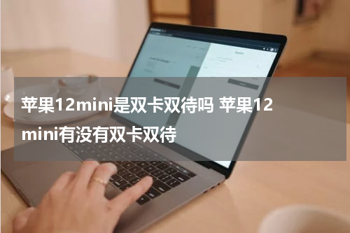 苹果12mini是双卡双待吗 苹果12mini有没有双卡双待
