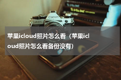 苹果icloud照片怎么看（苹果icloud照片怎么看备份没有）