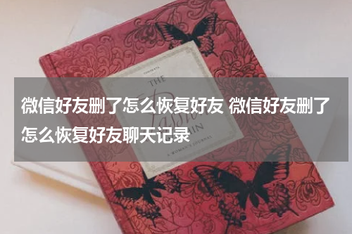 微信好友删了怎么恢复好友 微信好友删了怎么恢复好友聊天记录