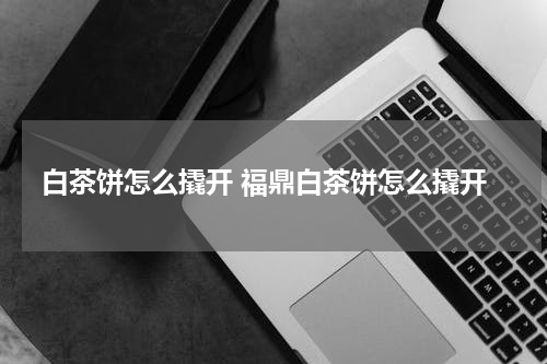 白茶饼怎么撬开 福鼎白茶饼怎么撬开