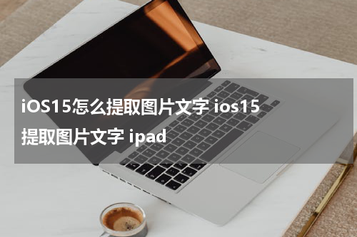 iOS15怎么提取图片文字 ios15提取图片文字 ipad