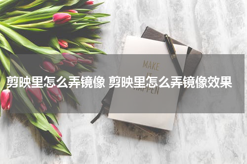 剪映里怎么弄镜像 剪映里怎么弄镜像效果
