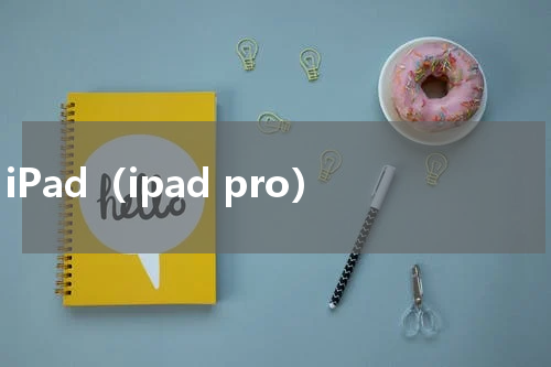 iPad（ipad pro）