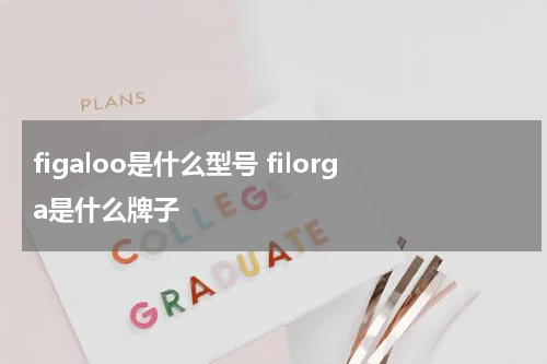figaloo是什么型号 filorga是什么牌子