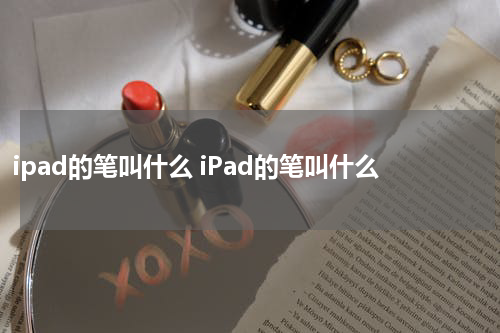 ipad的笔叫什么 iPad的笔叫什么