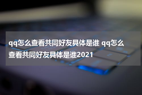 qq怎么查看共同好友具体是谁 qq怎么查看共同好友具体是谁2021