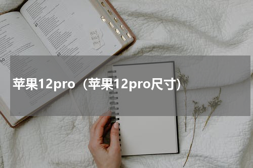 苹果12pro（苹果12pro尺寸）