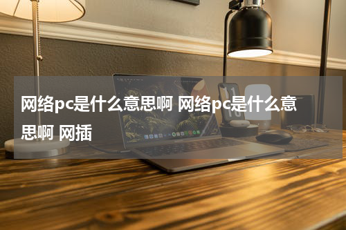 网络pc是什么意思啊 网络pc是什么意思啊 网插