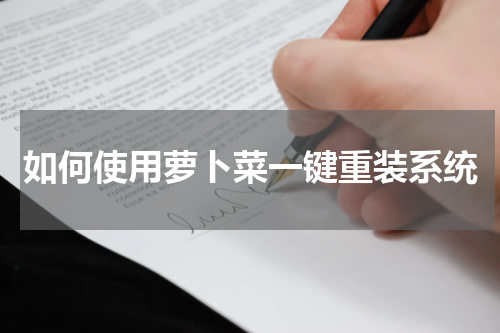如何使用萝卜菜一键重装系统