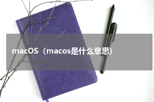 macOS（macos是什么意思）