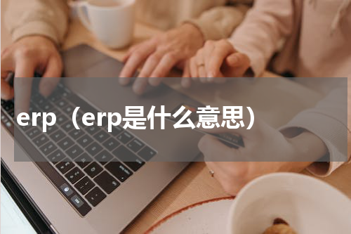 erp（erp是什么意思）