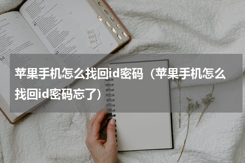 苹果手机怎么找回id密码（苹果手机怎么找回id密码忘了）