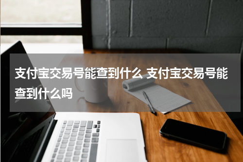 支付宝交易号能查到什么 支付宝交易号能查到什么吗