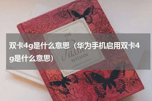 双卡4g是什么意思（华为手机启用双卡4g是什么意思）