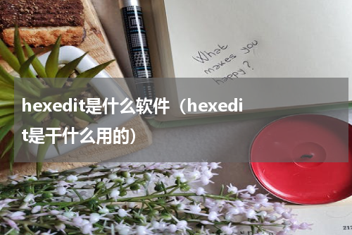 hexedit是什么软件（hexedit是干什么用的）