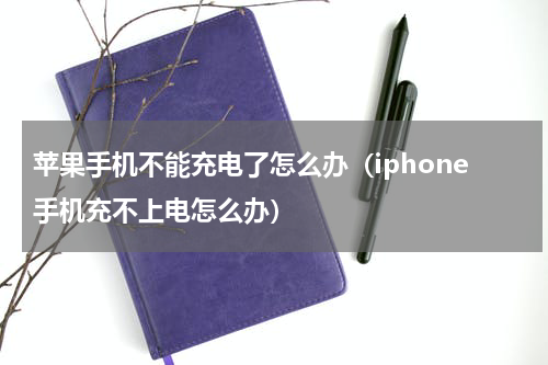 苹果手机不能充电了怎么办（iphone手机充不上电怎么办）