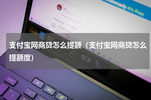 支付宝网商贷怎么提额（支付宝网商贷怎么提额度）