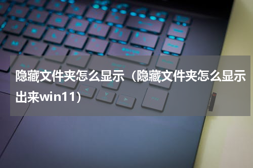 隐藏文件夹怎么显示（隐藏文件夹怎么显示出来win11）