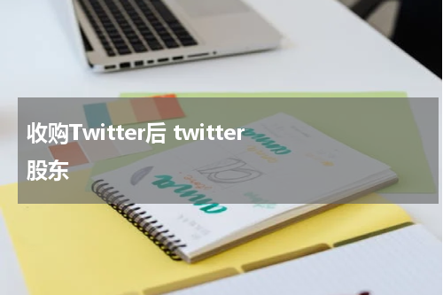 收购Twitter后 twitter 股东
