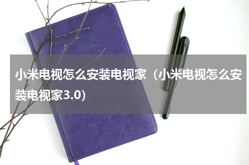 小米电视怎么安装电视家（小米电视怎么安装电视家3.0）