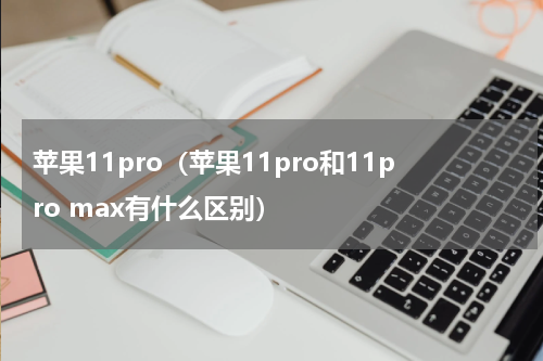 苹果11pro（苹果11pro和11pro max有什么区别）
