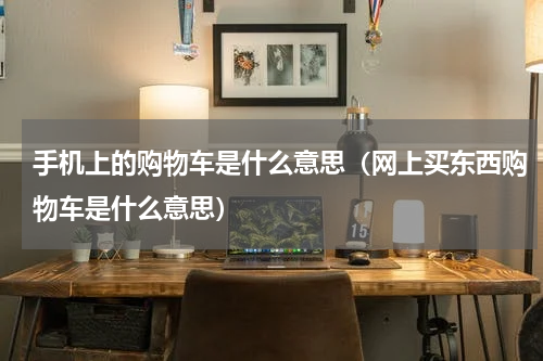手机上的购物车是什么意思（网上买东西购物车是什么意思）