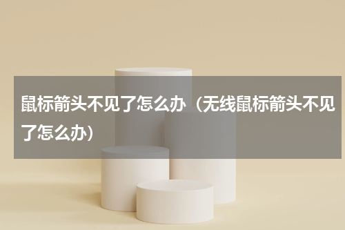 鼠标箭头不见了怎么办（无线鼠标箭头不见了怎么办）