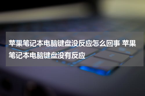 苹果笔记本电脑键盘没反应怎么回事 苹果笔记本电脑键盘没有反应